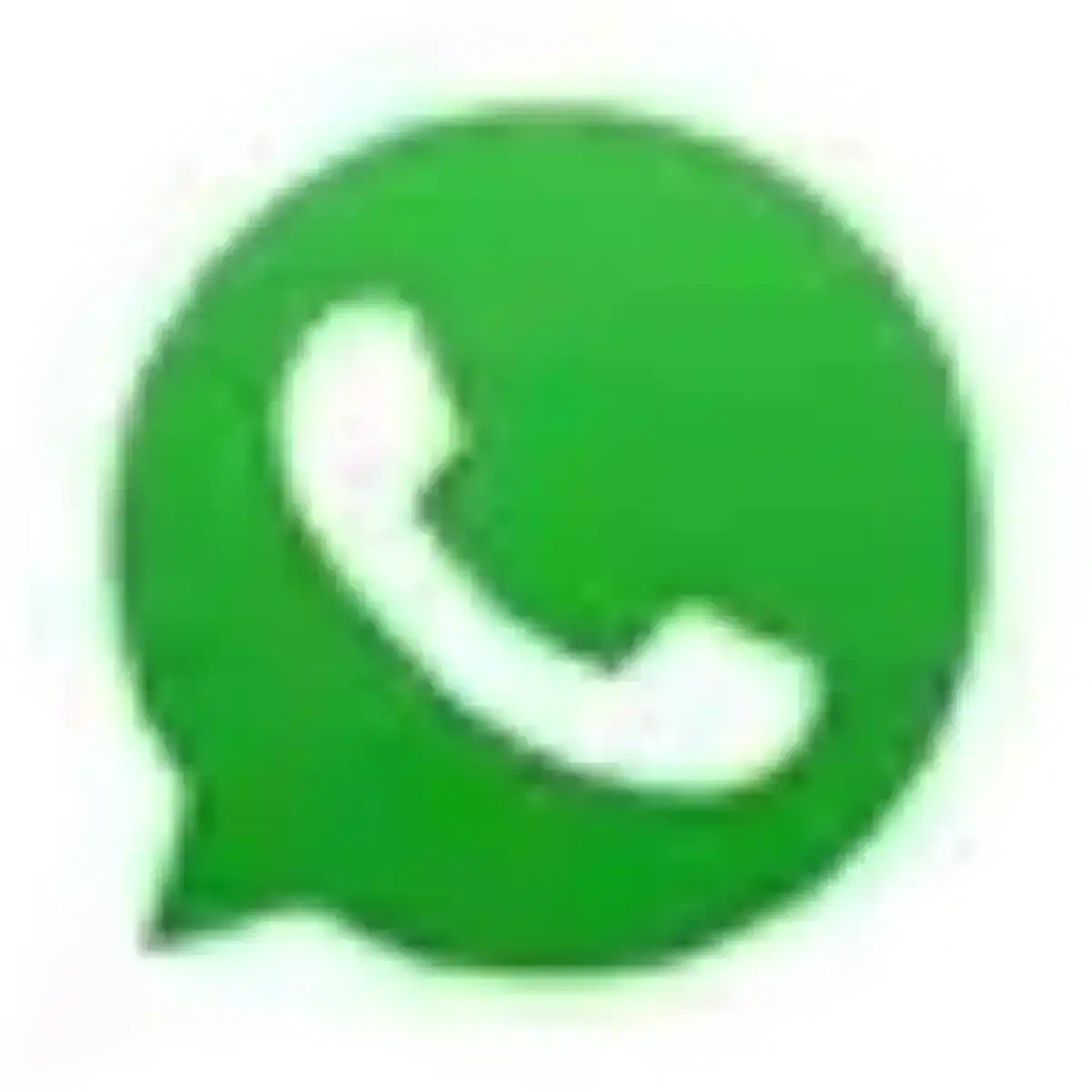 Contact us on WhatsApp